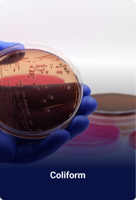 Contoh pengujian mikrobiologi: produk pangan