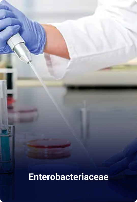 Contoh pengujian mikrobiologi: sampel laboratorium